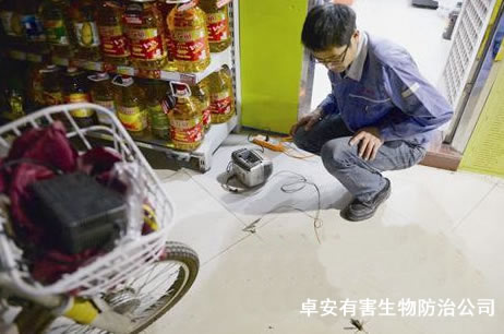 捕鼠達(dá)人11年滅鼠近4萬只－深圳卓安有害生物防治公司